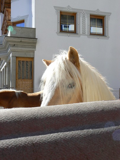 img00003.jpg