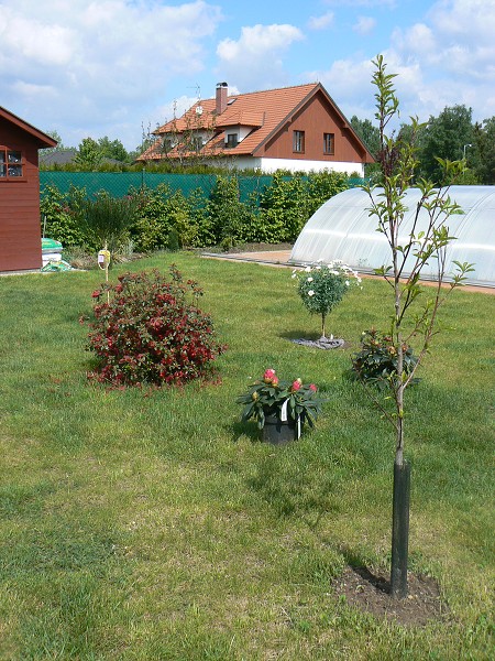JARO 2011