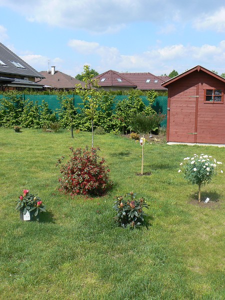 JARO 2011
