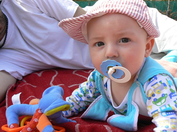 img00005.jpg