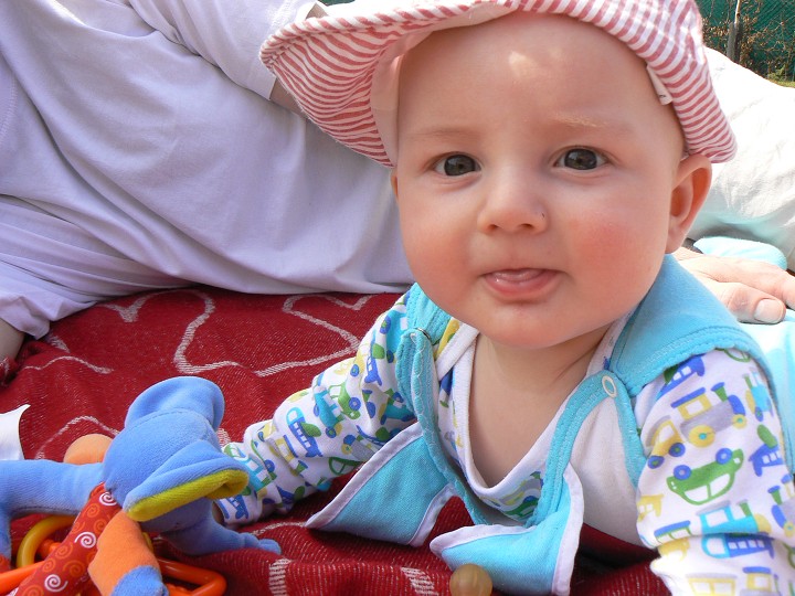 img00006.jpg