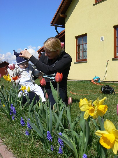 img00027.jpg