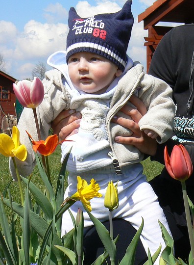 img00028.jpg