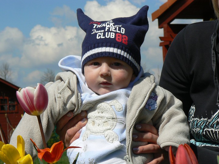 img00029.jpg