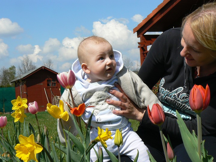img00030.jpg