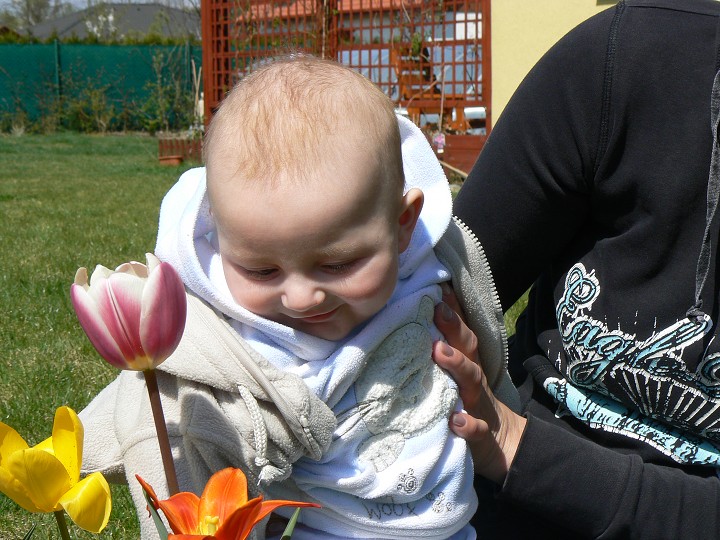 img00031.jpg