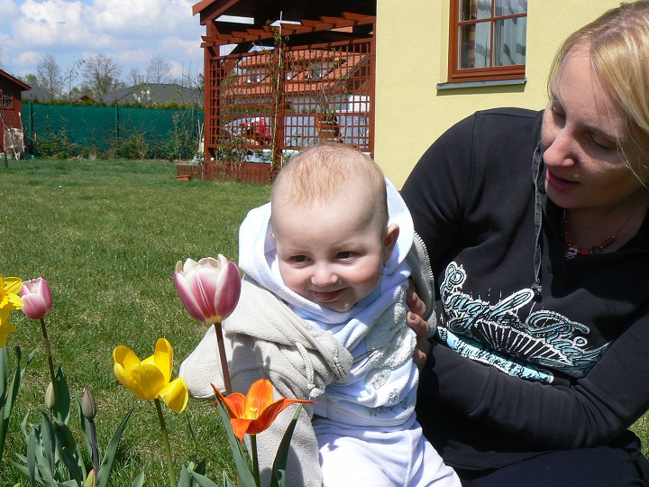 img00032.jpg