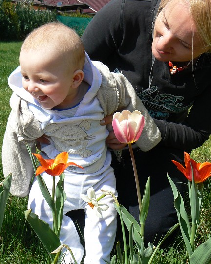 img00034.jpg