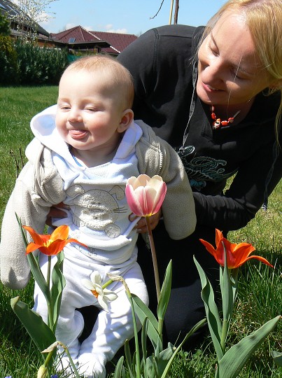 img00035.jpg