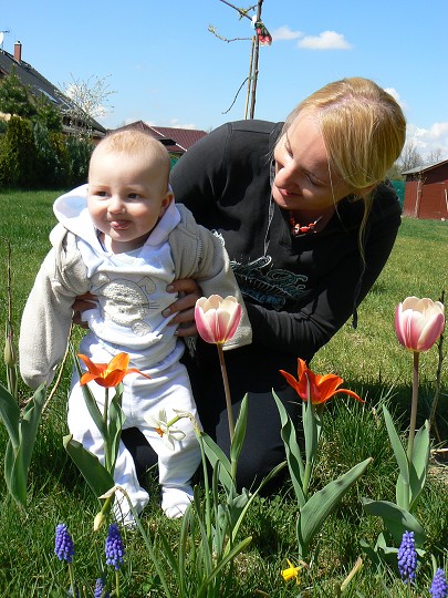 img00036.jpg