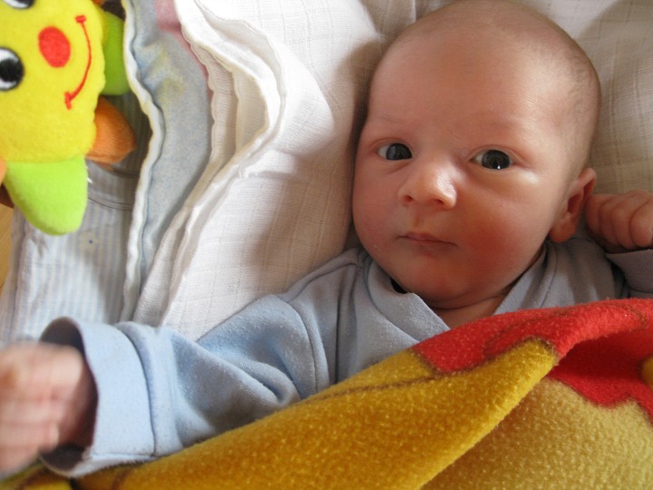 img00016.jpg