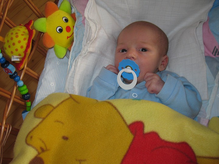 img00017.jpg