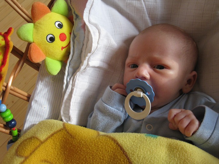 img00018.jpg