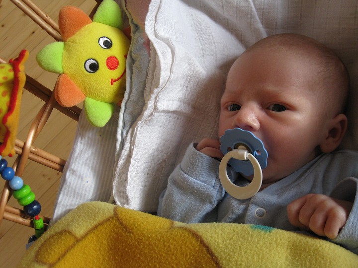 img00019.jpg