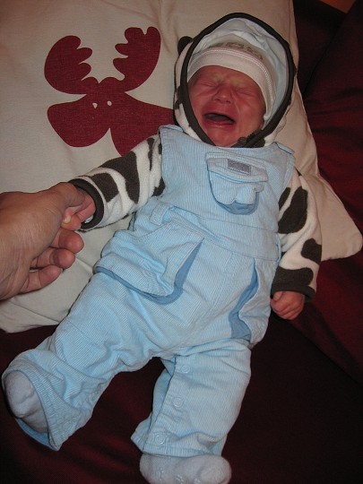 img00022.jpg