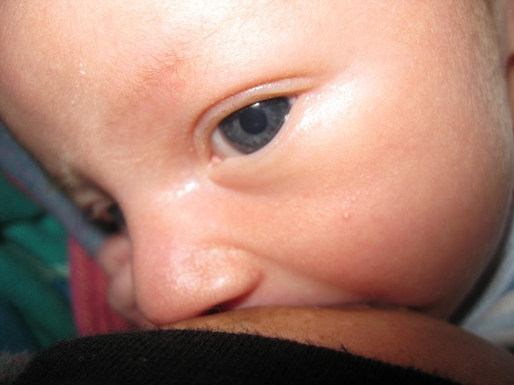 img00023.jpg