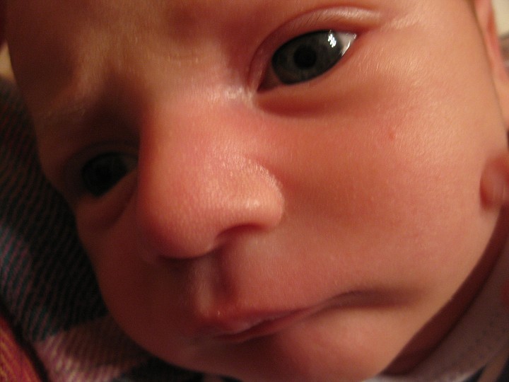 img00024.jpg