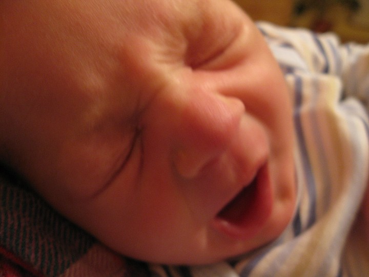 img00026.jpg