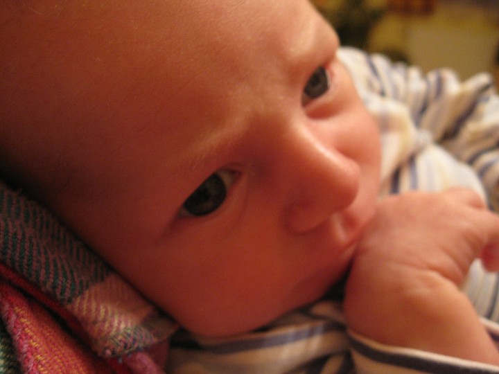 img00027.jpg
