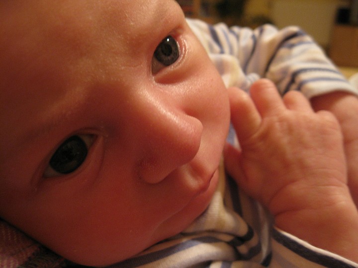 img00028.jpg