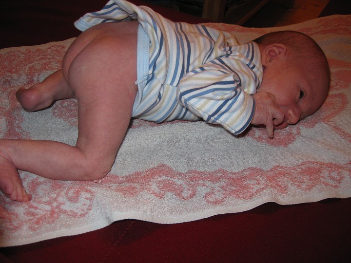 img00031.jpg