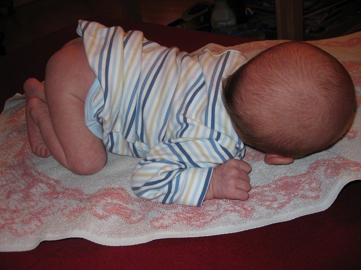 img00032.jpg