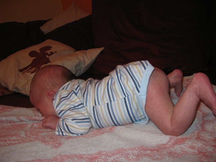 img00033.jpg