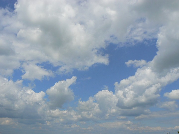 img00023.jpg