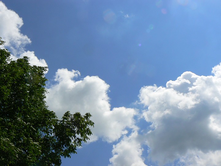img00024.jpg