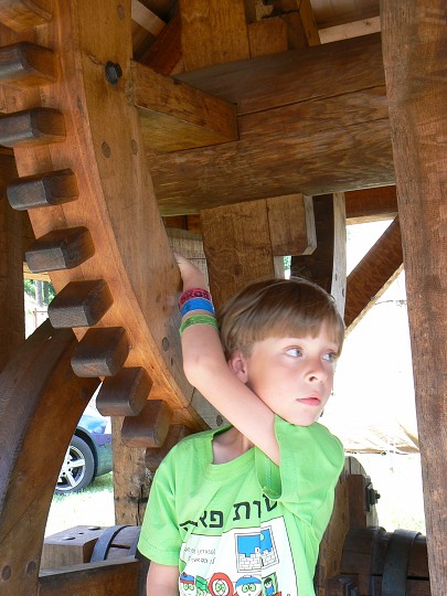 img00029.jpg