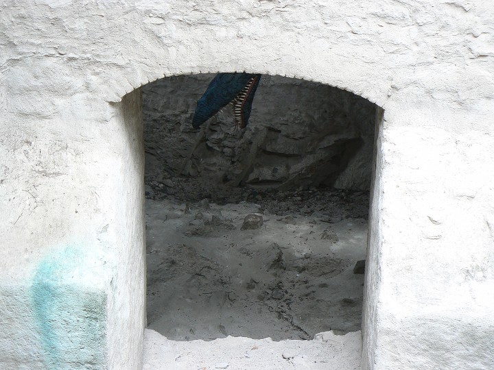 img00045.jpg
