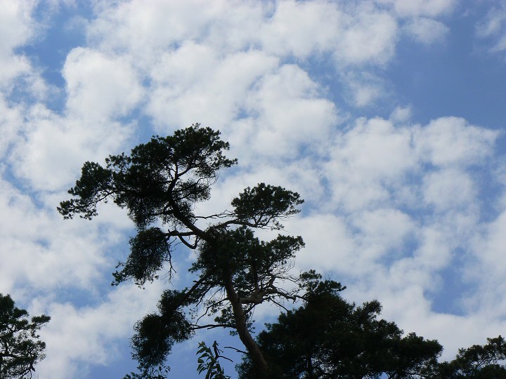 img00100.jpg