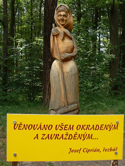 img00105.jpg