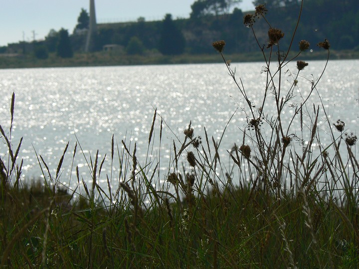 img00004.jpg