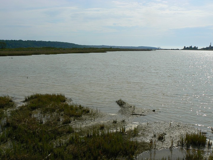 img00005.jpg
