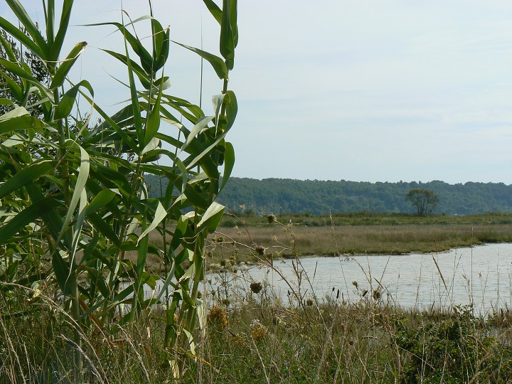 img00009.jpg
