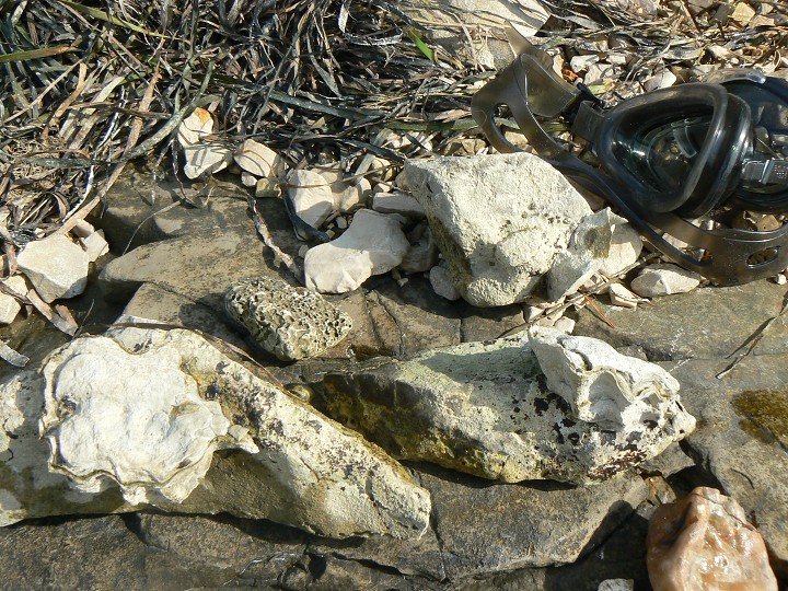 img00018.jpg