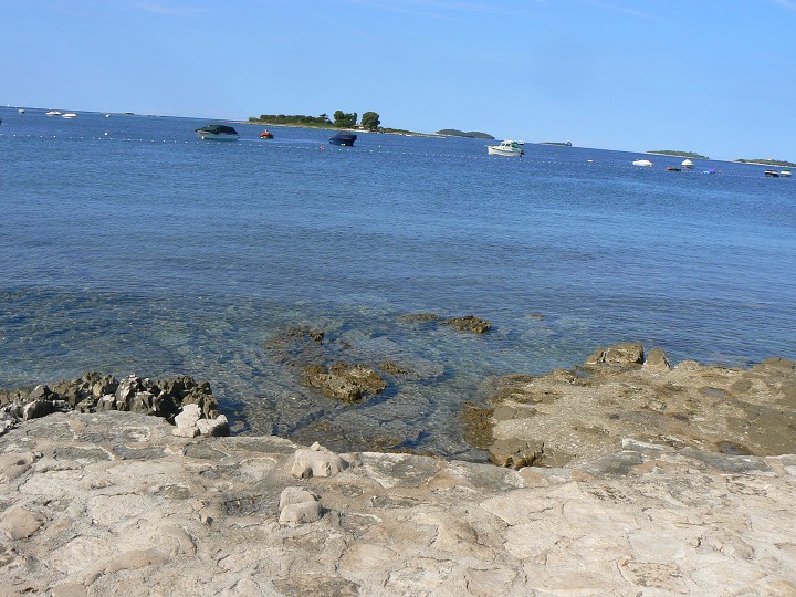 img00036.jpg