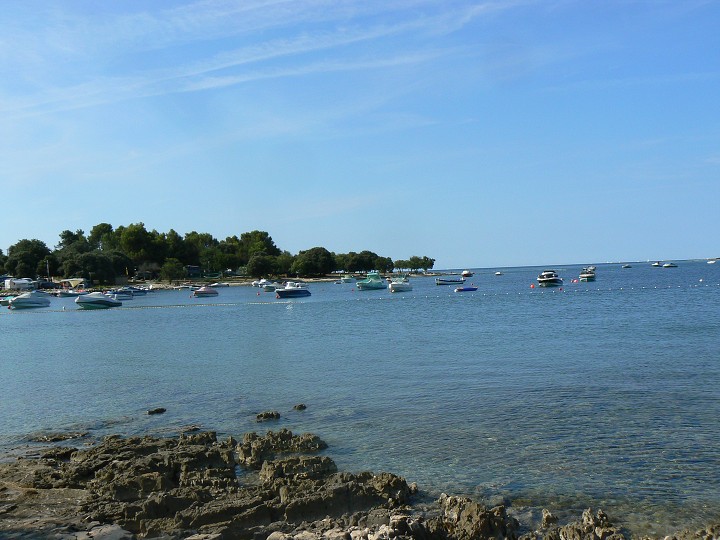 img00037.jpg