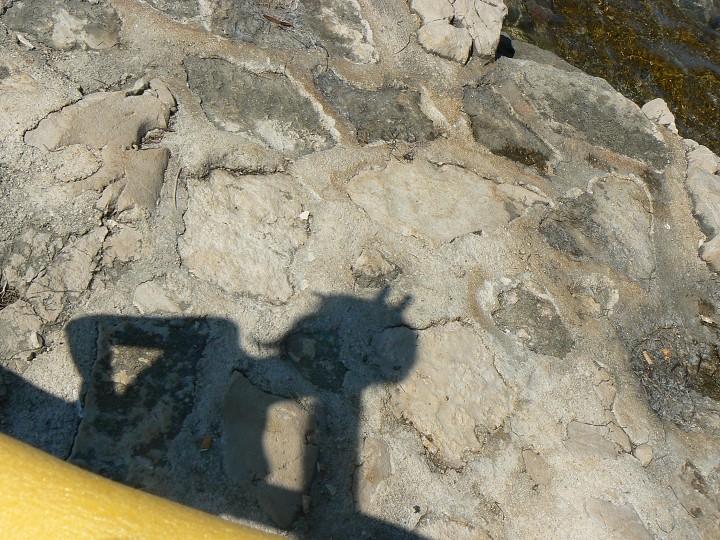img00045.jpg