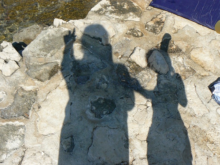 img00050.jpg