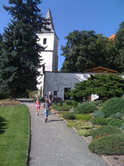 img00006.jpg