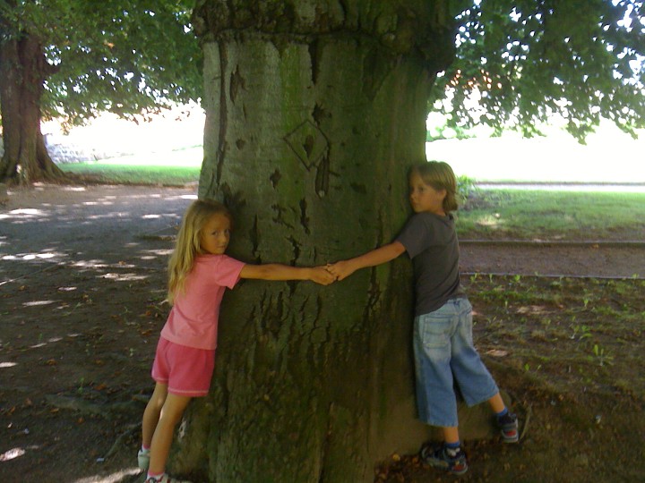 img00022.jpg