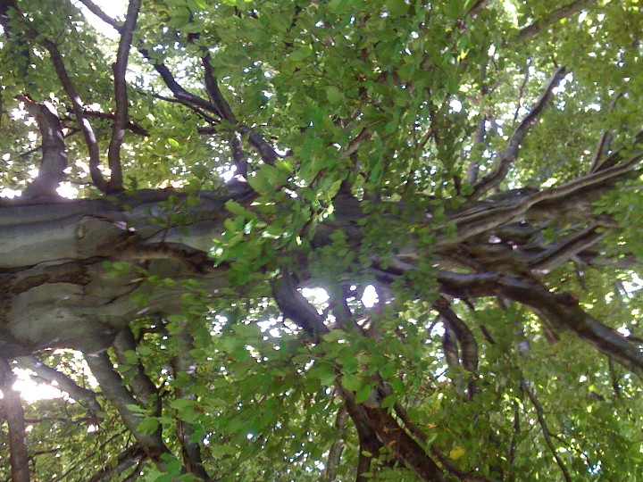 img00023.jpg