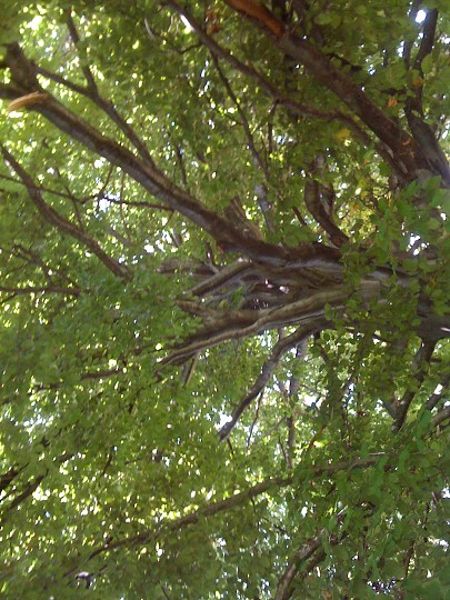 img00024.jpg