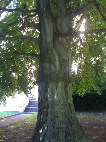 img00025.jpg