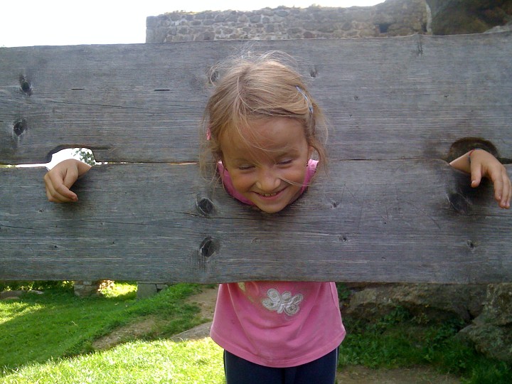 img00050.jpg