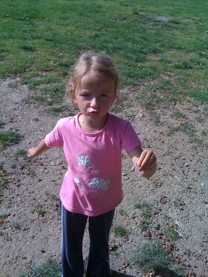img00056.jpg