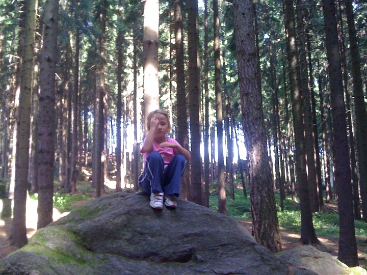 img00061.jpg