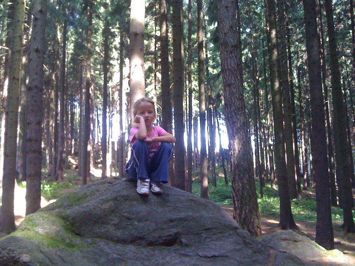 img00062.jpg